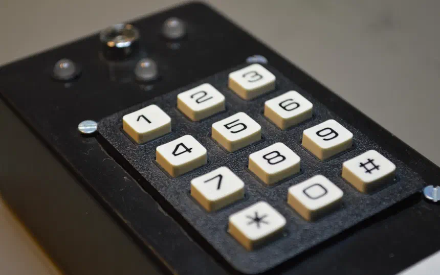 Security keypad with programmable PIN — AVR
