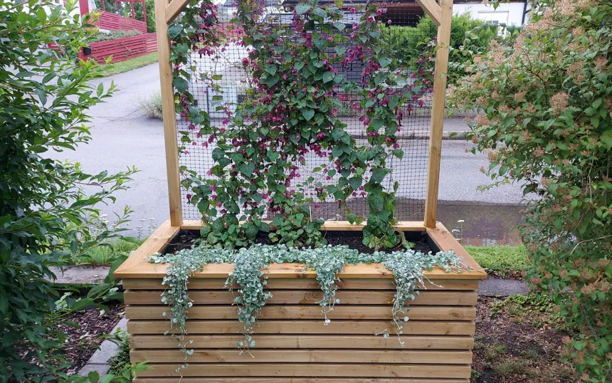 Making planter boxes for Mona